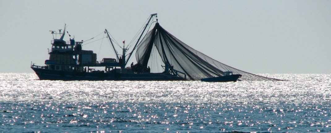 ship1-n